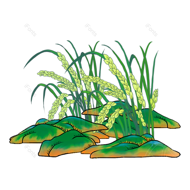 中国风图片,小满元素,植物插画PNG,植物素材免抠素材